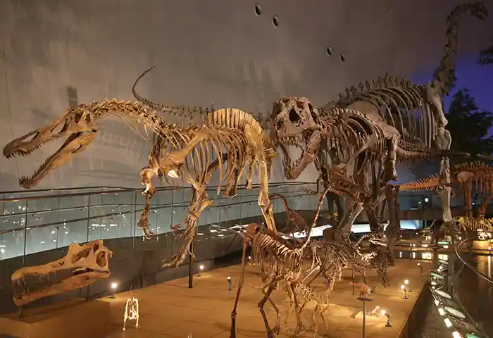周辺観光 福井