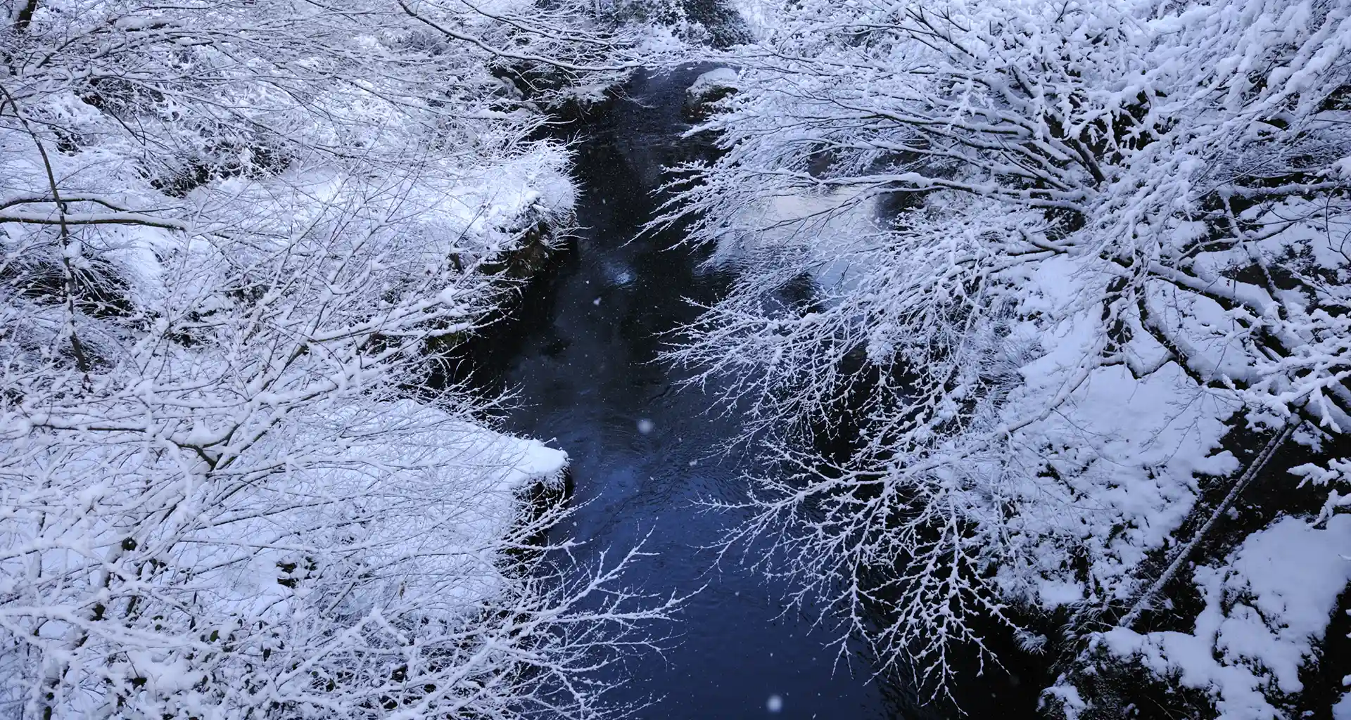 山中温泉 河鹿荘外観