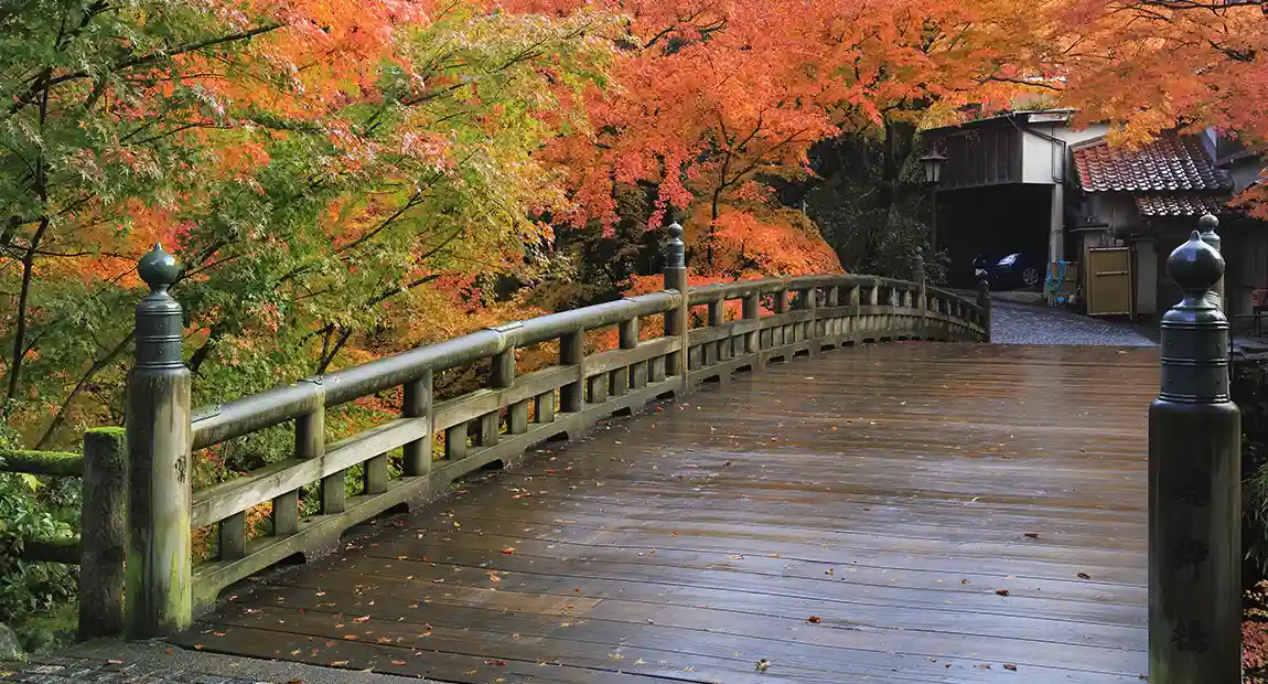 こおろぎ橋